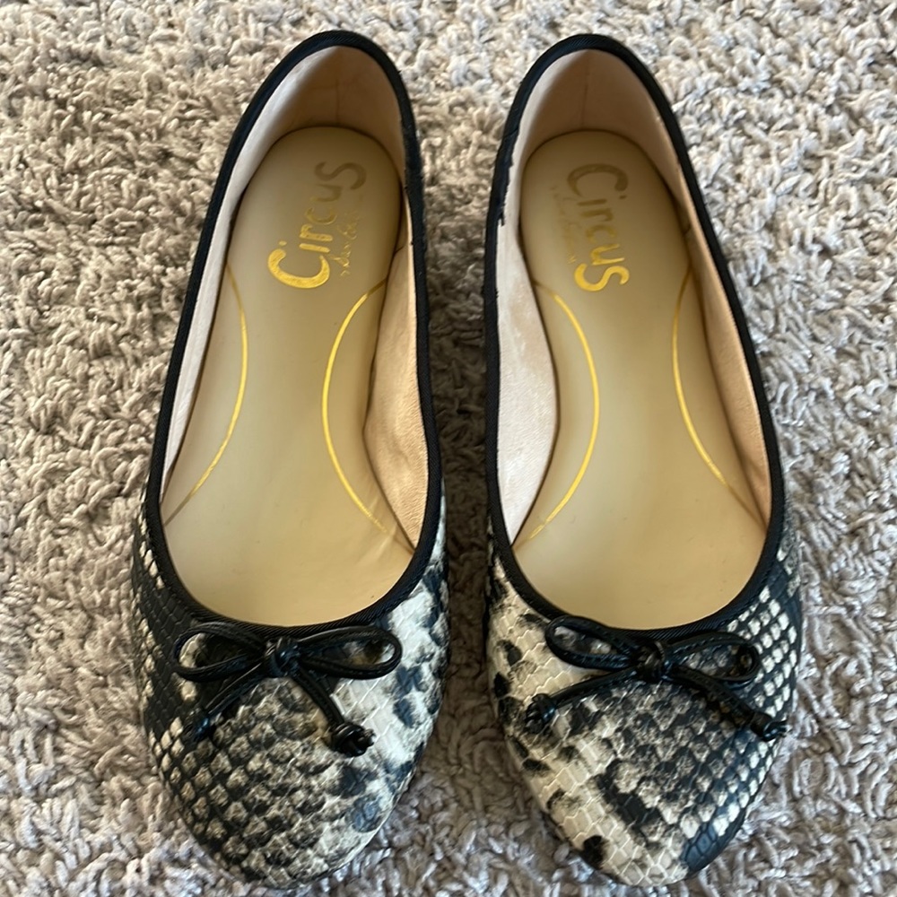 Circus by Sam Edelman Size 6 Snakeskin Flats